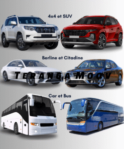 Véhicules