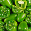 Poivrons verts