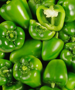 Poivrons verts