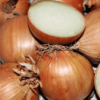 Oignons