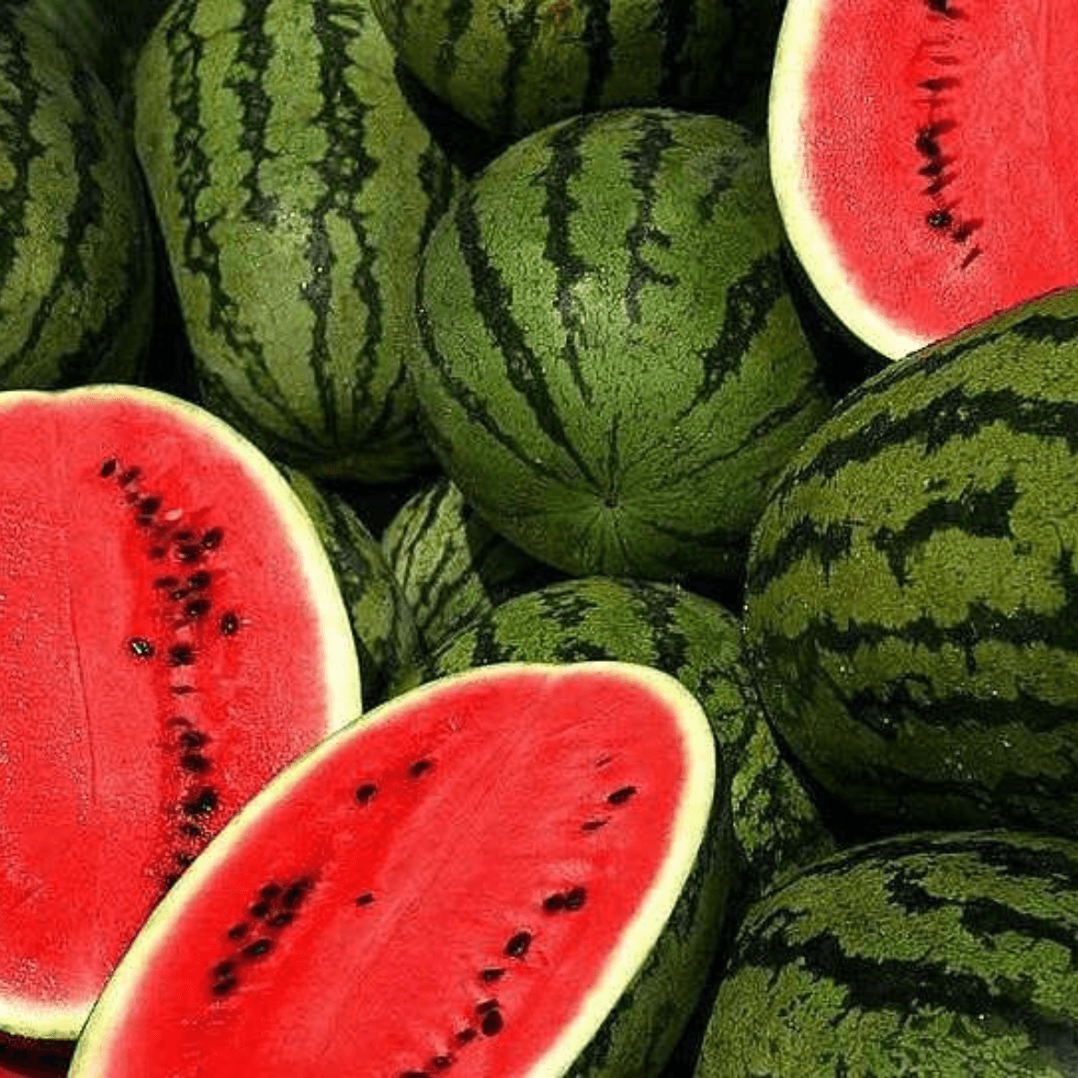 Pastèque : 1kg - 1 000 CFA