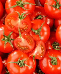 Tomates farcies