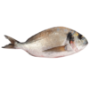 Dorade Royale lot de 10 (poids entre 250 et 300 grammes par dorade)