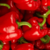 Poivrons rouges
