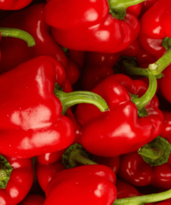 Poivrons rouges