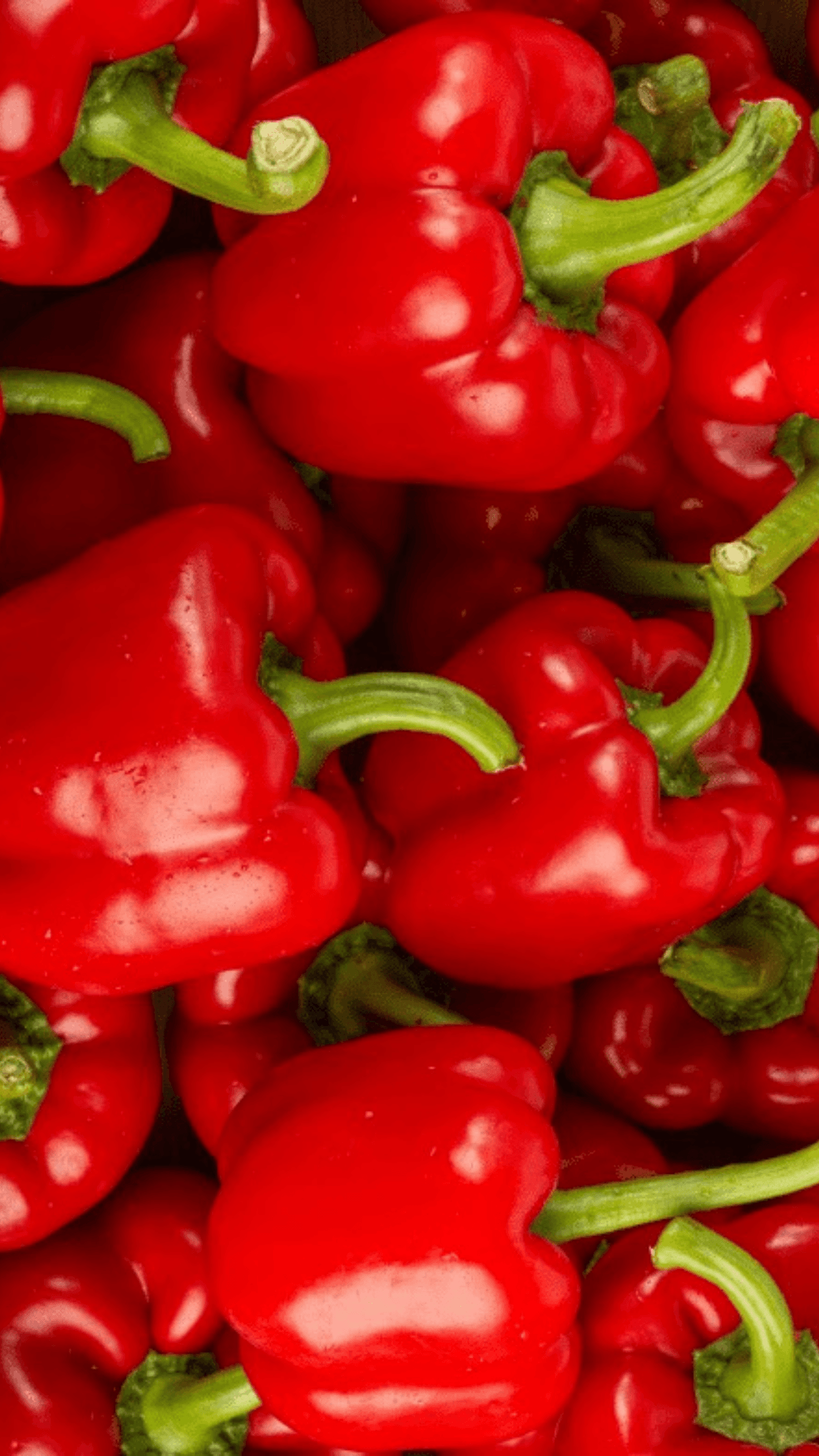 Poivrons rouge (bio) - Qté : 1 kg - 3 500 CFA
