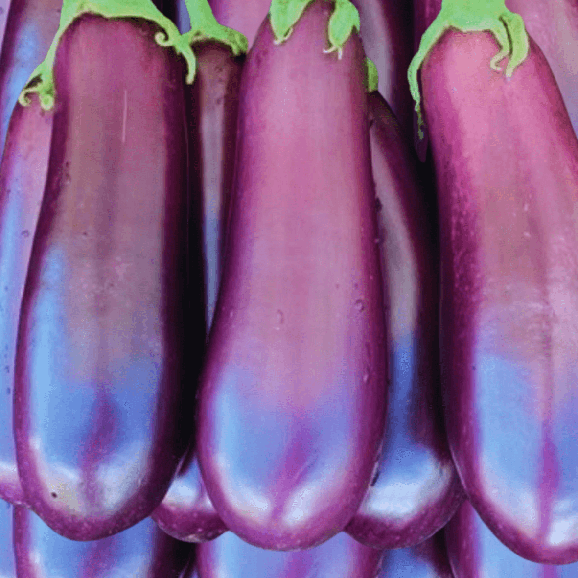 Aubergine - Qté : 500gr - 900 CFA