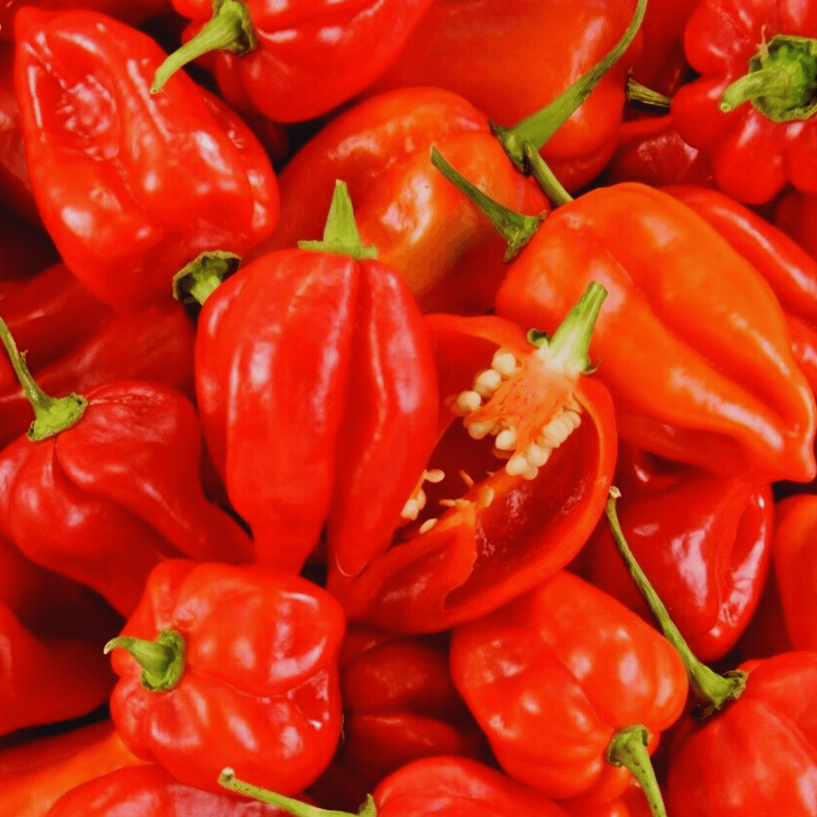 Piment (bio) - Qté : 250gr - 900 CFA